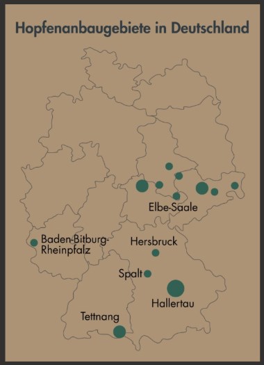 Die Karte zeigt die sechs Hopfenanbaugebiete in Deutschland: Hallertau, Tettnang, Spalt, Elbe-Saale, Hersbruck und Baden-Bitburg-Rheinpfalz mit ihrer ungefähren Größe und Lage.