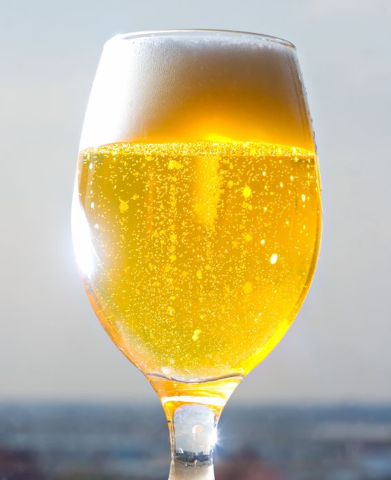 Leichtbier im bauchigen Glas mit Schaumkrone vor hellem Hintergrund.