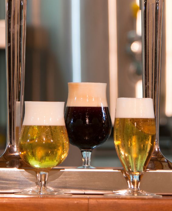 Verschiedene Bockbiere im Vergleich – Bierverkostung und Bierstile entdecken.
