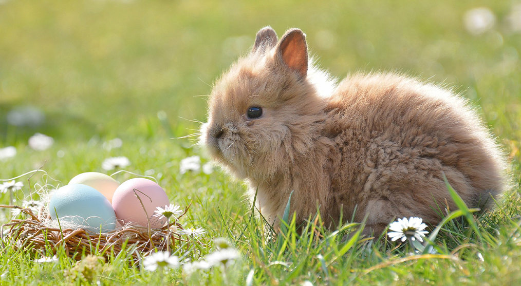 Osterhase und Ostereier im Korb